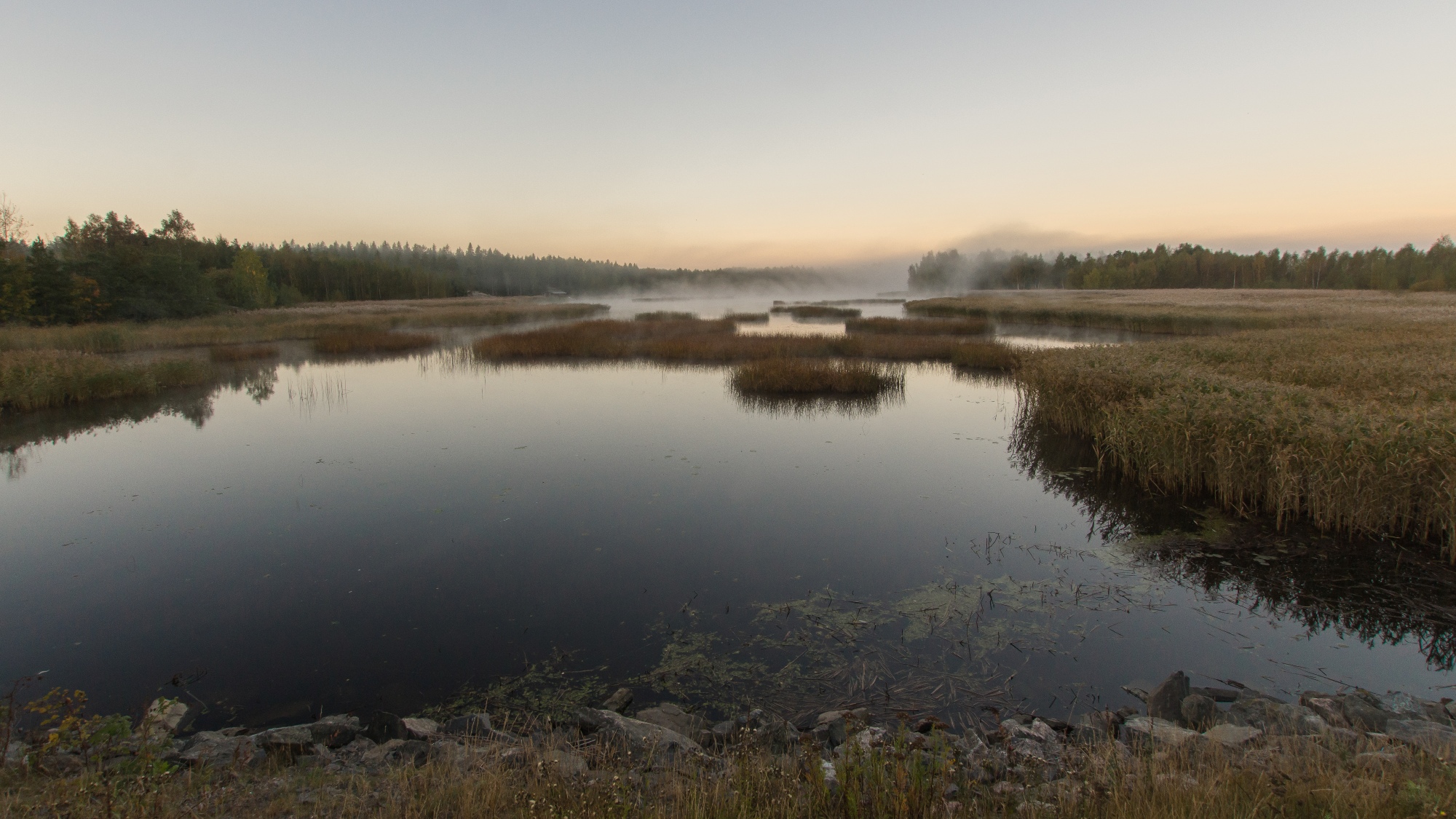 DSC04676-pieni_Lasse_Saarelainen.jpg